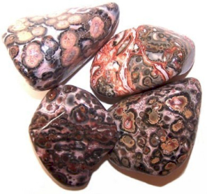 24x L Tumble Stones - Piel de Leopardo