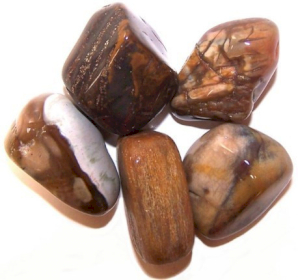 24x L Tumble Stones - Madera Petrificada