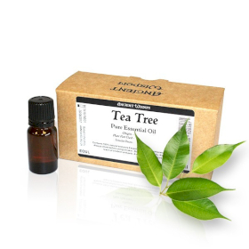 10x Aceite esencial sin etiqueta árbol del té 10ml