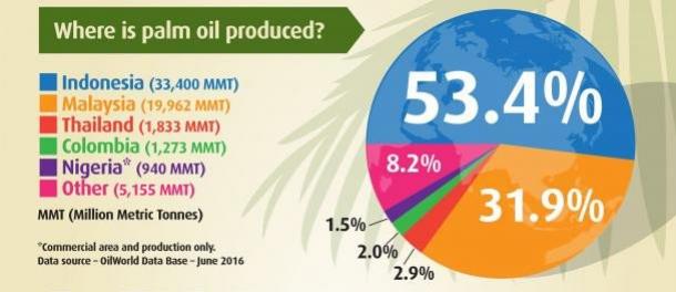Where is palm oil produced