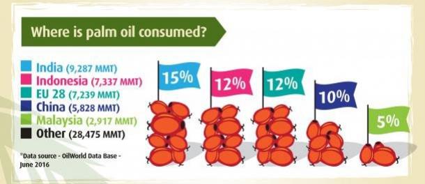Where is palm oil consumed
